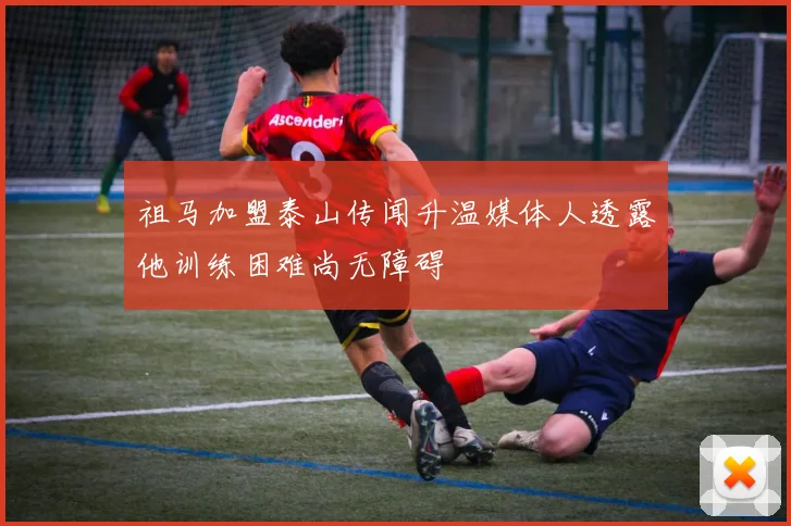 祖马加盟泰山传闻升温媒体人透露他训练困难尚无障碍